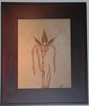 Click for a larger picture and details.